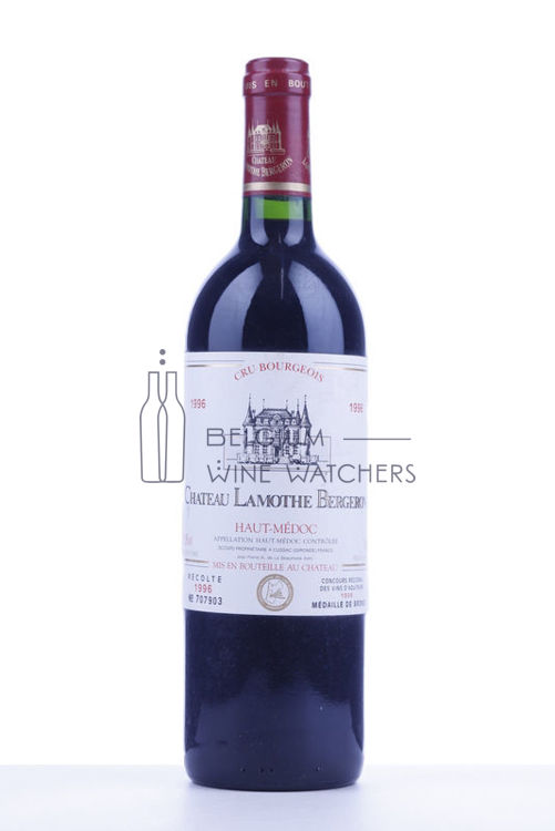 Picture of 1996 LAMOTHE BERGERON